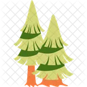 Abeto Arbol Naturaleza Icono