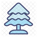 Abeto Arbol Abeto Icono