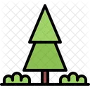 Abeto  Icono