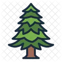 Abeto Pino Arbol Icono