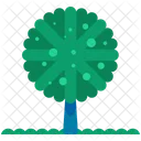 Abgerundet Baum Wald Symbol