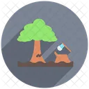 Umwelt Baume Natur Icon