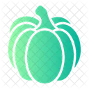 Abobora Organica Fruta Icon