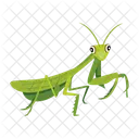 Gottesanbeterin Symbole Susse Gottesanbeterin Mantodea Symbol