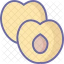 Abricot Nourriture Fruits Icon
