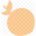 Abricot Nourriture Fruits Icon