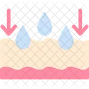 Absorption Moisture Humidity Icon