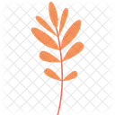 Abstract Leaves  Icon