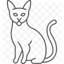 Abyssinian Cat Abyssinniancat Cat Icon