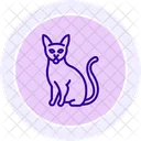 Abyssinian Cat Icon