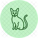 Abyssinian Cat Abyssinniancat Cat Icon