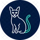 Abyssinian Cat Abyssinniancat Cat Icon