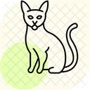 아비시니안 고양이  아이콘