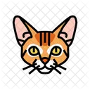 Abyssinian Cat Abyssinian Cat Icon
