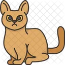 Abyssinian Cat Feline Icon