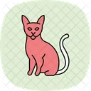 Abyssinian cat  Icon