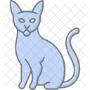 Abyssinian Cat Abyssinniancat Cat Icon