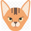 Abyssinnian Cat Icon