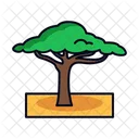 Acacia Filled Line Icon