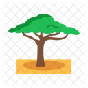 Acacia Flat Icon