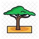 Linha Cheia De Acacia Icon