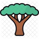 Acacia Tree Nature Ecology Icon