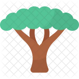 Acacia tree  Icon