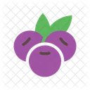 Acai Fruit Healthy Icon