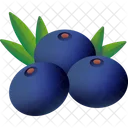 Acai berries  Icon