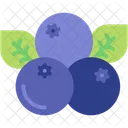 Acai Berries Fruit Icon