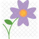 Acanthaceae Seed Fresh Icon