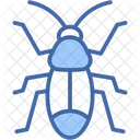 Acari  Icon