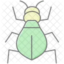 Acaro Inseto Larva Ícone