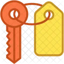 Access Door Key Icon