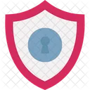 Access Control Access Protection Authorization Icon
