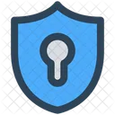 Security Shield Access Icon