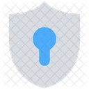 Security Shield Access Icon