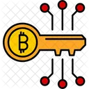 Access Key Authentication Security Icon