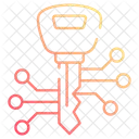 Access key  Icon
