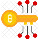 Access key  Icon