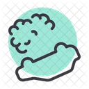 Accident Crash Damage Icon