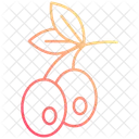 Aceituna  Icono