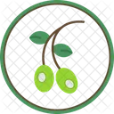 Aceituna  Icon