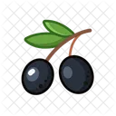 Aceitunas negras  Icono