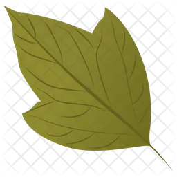 Acer Rubrum  Icon