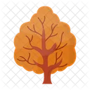 Acer Tree  Icon