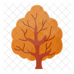 Acer Tree  Icon