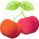 Acerola  Icon