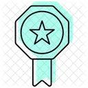 Achievement Badge Recognition Icon