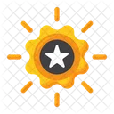 Achievement  Icon